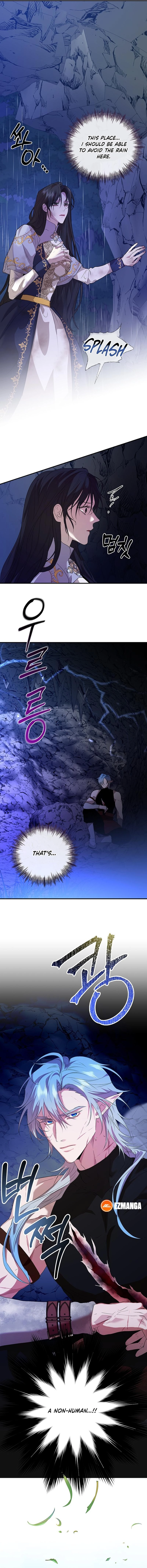Chapter Image 4