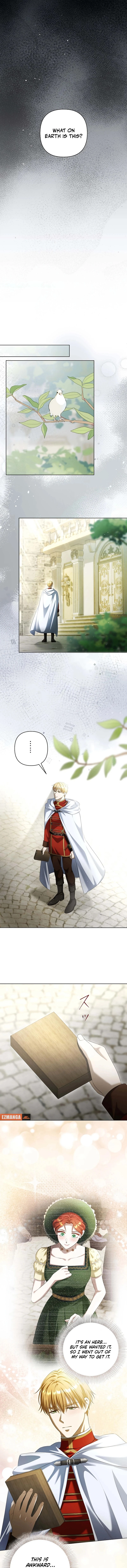 Chapter Image 12