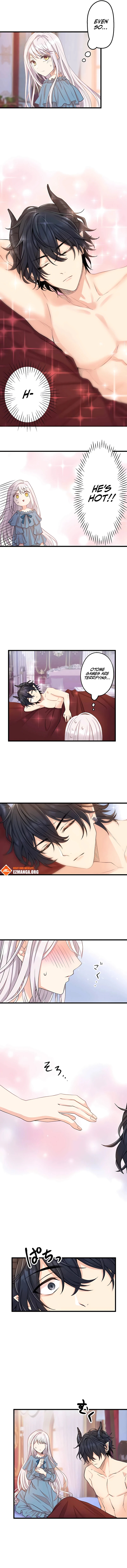 Chapter Image 5