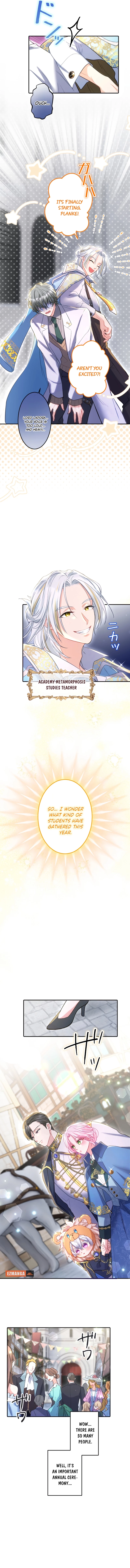 Chapter Image 5