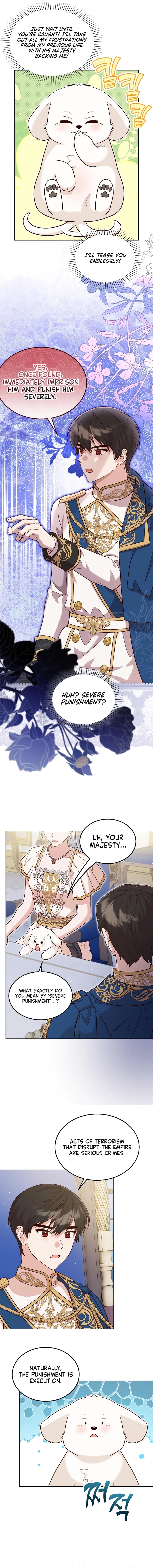 Chapter Image 12