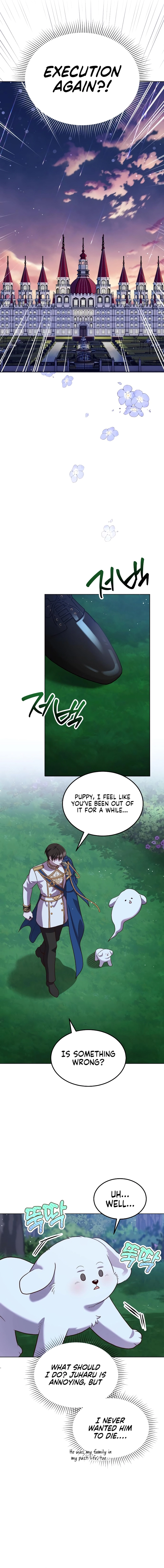 Chapter Image 13