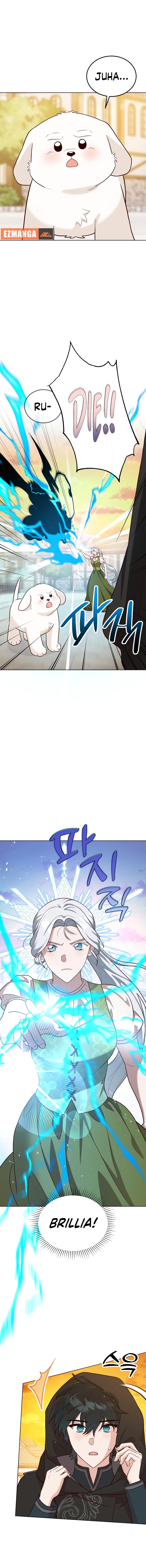 Chapter Image 3