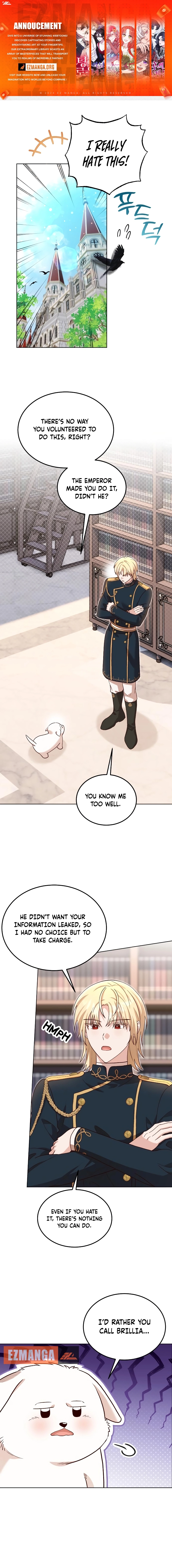 Chapter Image 1