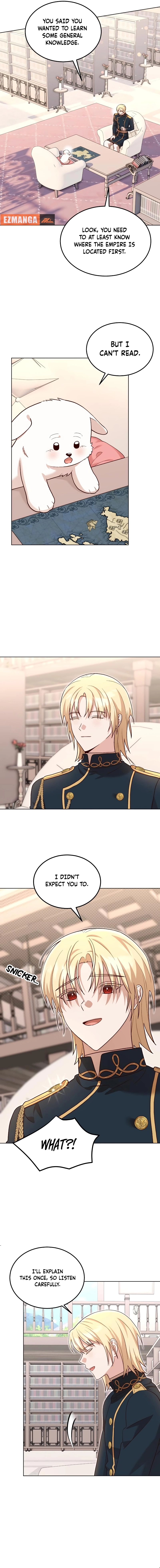 Chapter Image 4
