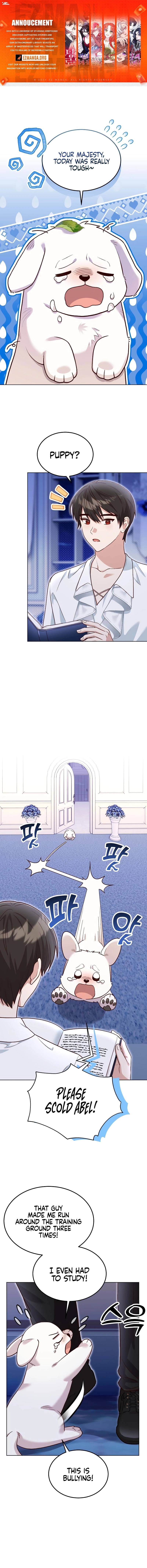 Chapter Image 1