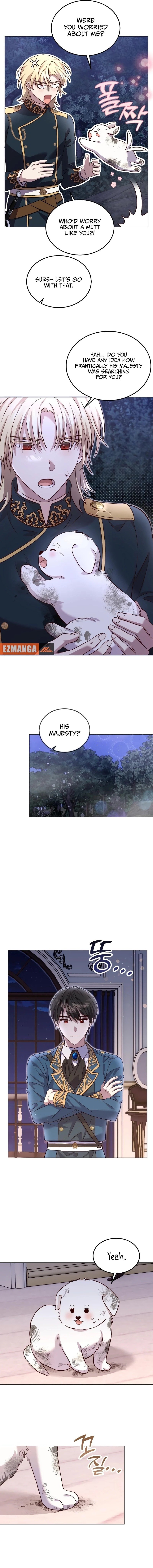 Chapter Image 11