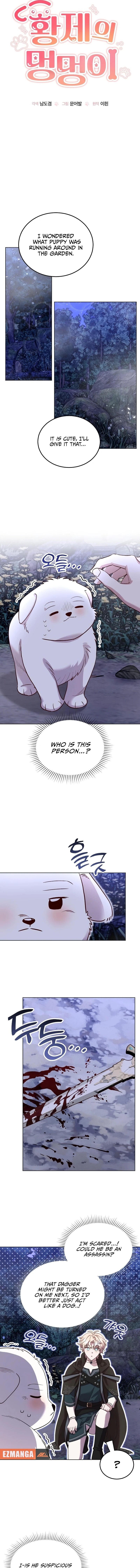 Chapter Image 5