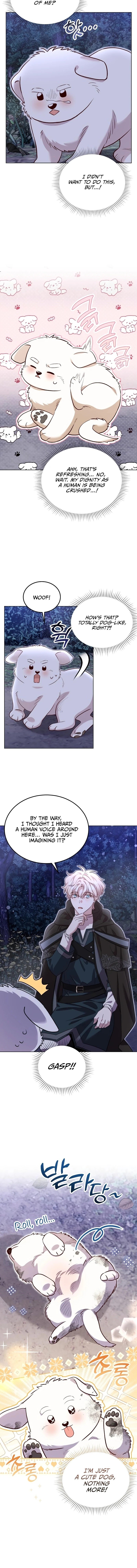 Chapter Image 6