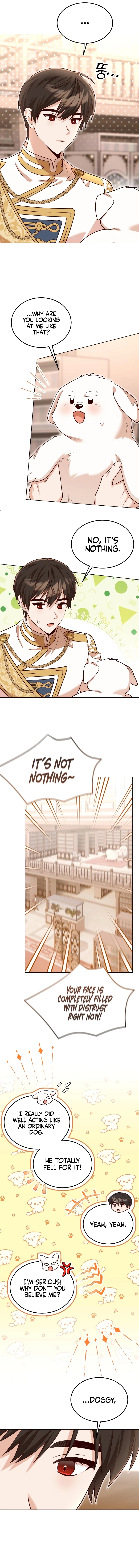 Chapter Image 4