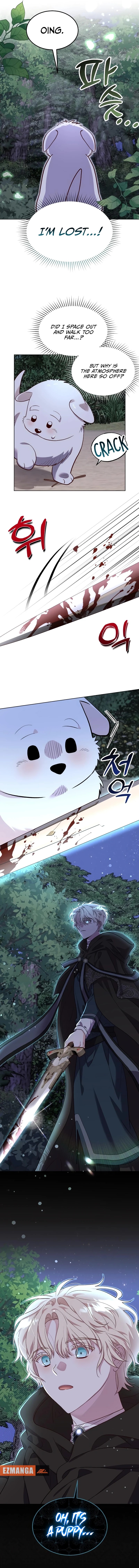 Chapter Image 12