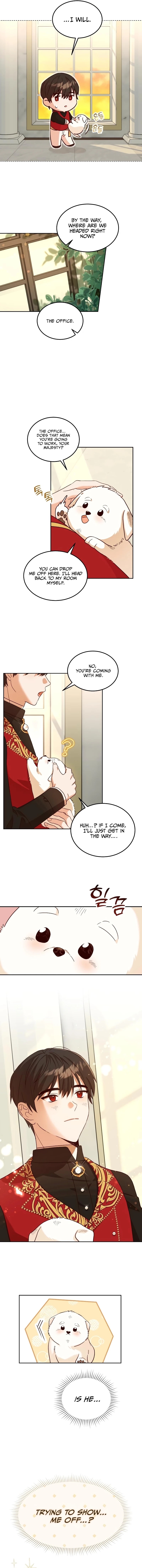 Chapter Image 3