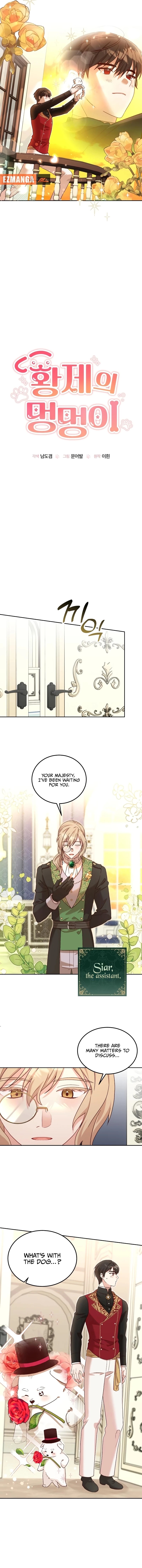 Chapter Image 4