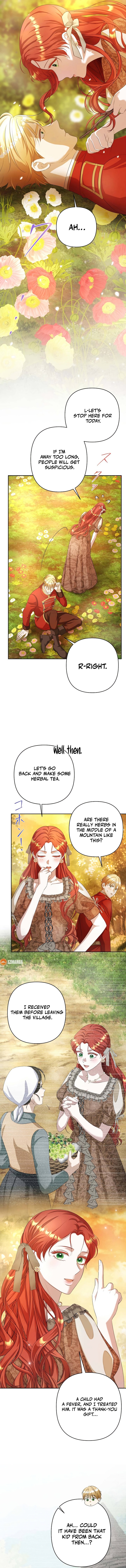 Chapter Image 5
