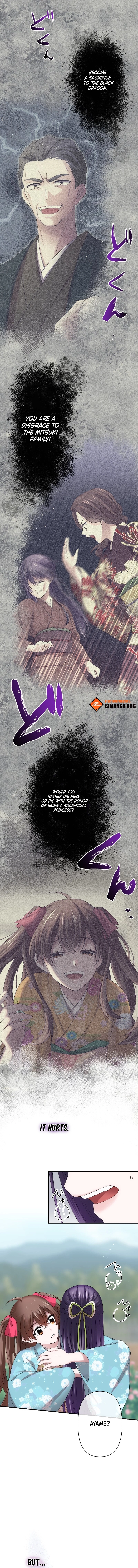 Chapter Image 12
