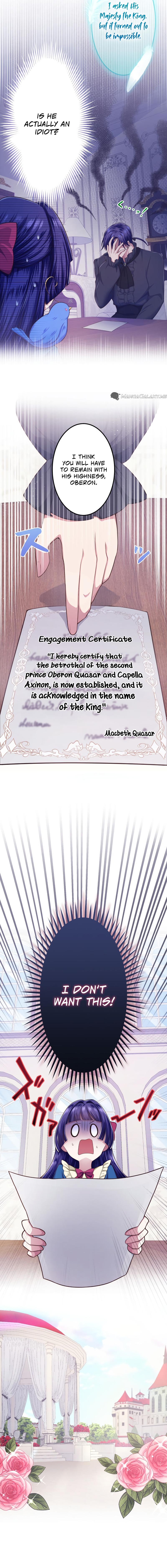 Chapter Image 3