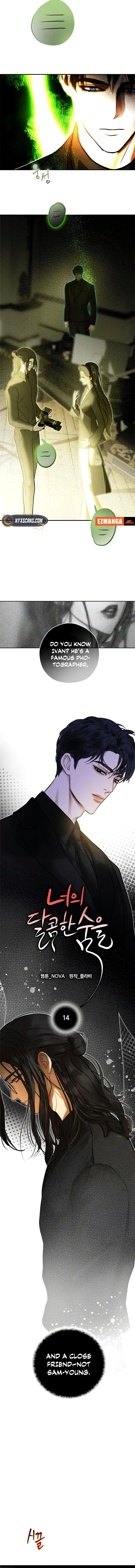 Chapter Image 5